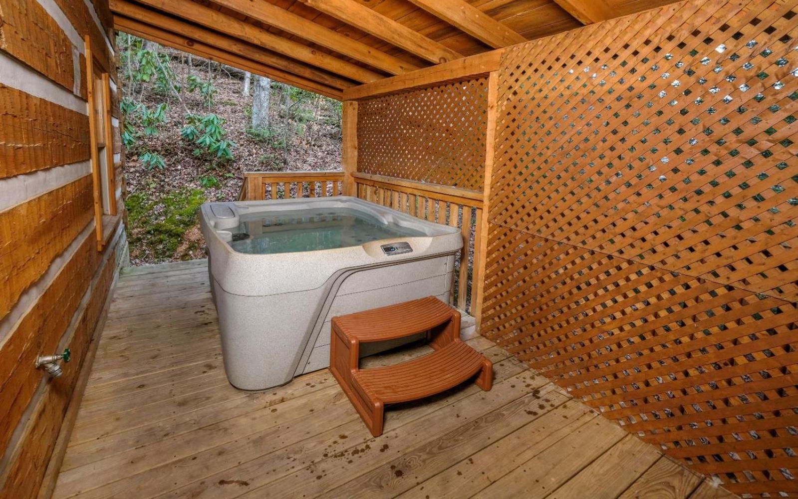 Villa Viva La Vino à Gatlinburg Extérieur photo