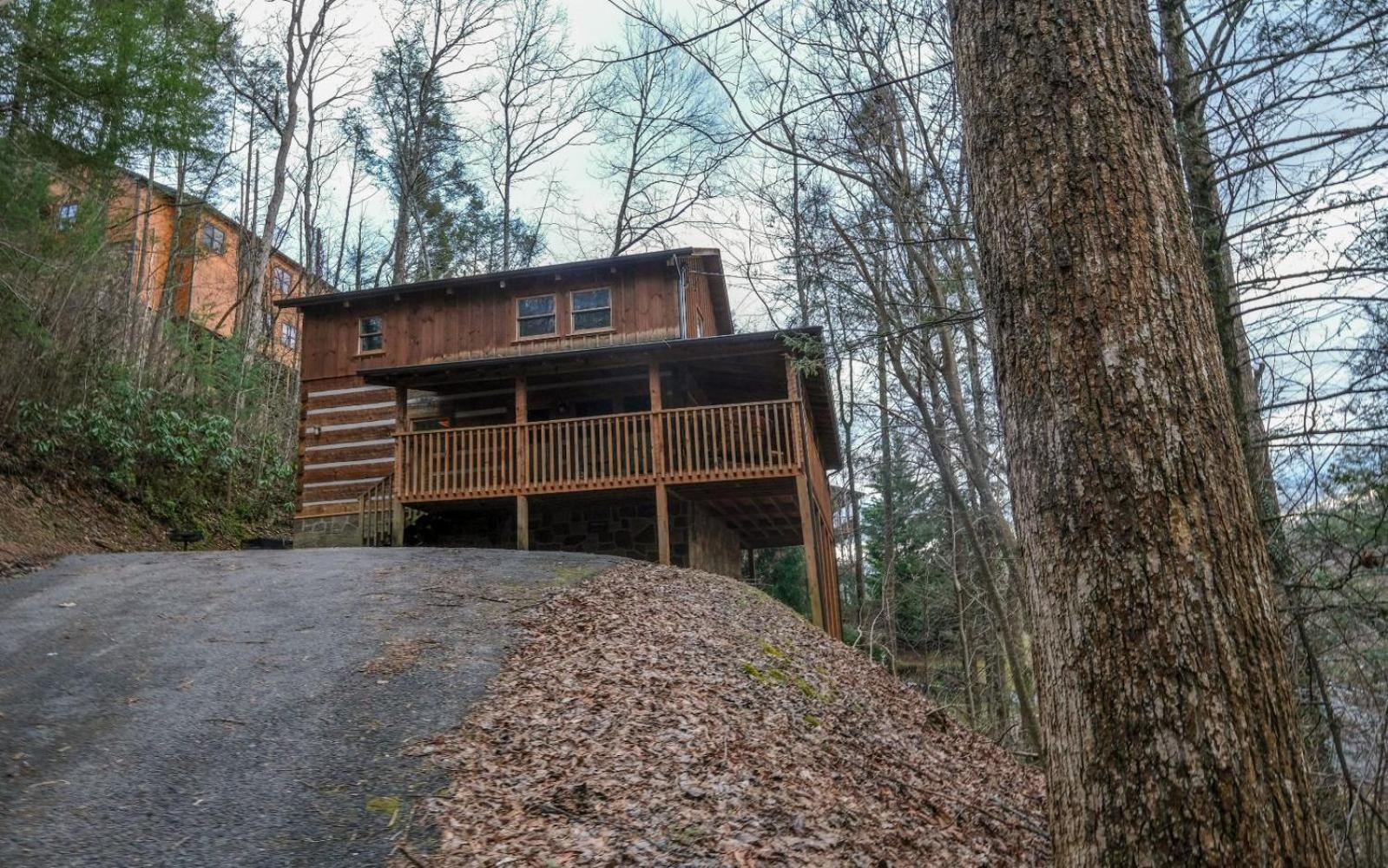 Villa Viva La Vino à Gatlinburg Extérieur photo